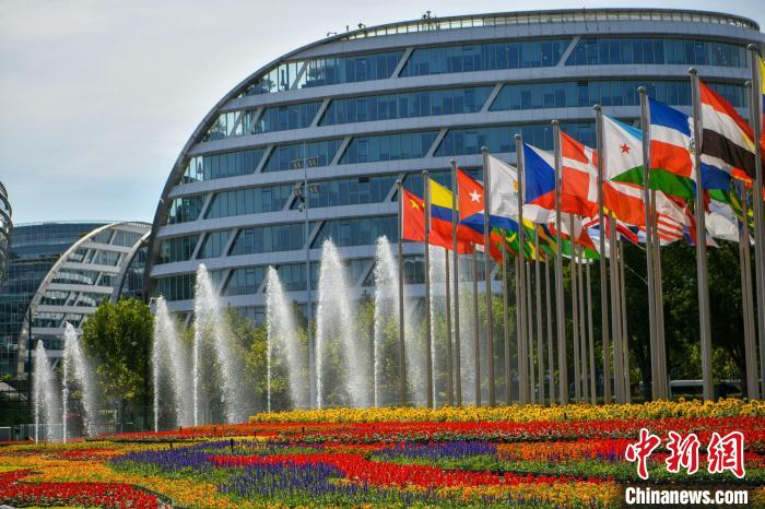 第五屆進(jìn)博會(huì)場(chǎng)館景觀裝飾全面定妝?！￡悏?mèng)澤 攝